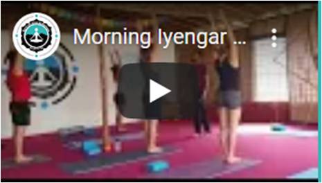 iyengar-yoga-asana-practice